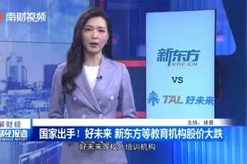 国家出手！好未来 新东方等教育机构股价大跌视频封面