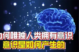万物皆由基本粒子组成，唯独人拥有意识，意识是如何产生的？视频封面