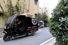 上海快递“收不到寄不出”？两通一达、顺丰回应视频封面