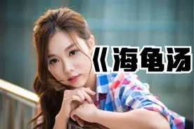 《 海龟汤》视频封面