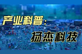 扬杰科技，功率半导体领先企业，受益于新能源爆发视频封面