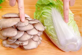 白菜和平菇真是绝配，教你好吃做法，不炖也不炒，天天吃都不腻视频封面