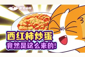 西红柿炒蛋，到底应该是甜的还是咸的？视频封面