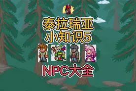 【泰拉瑞亚小知识5】NPC大全.mp4视频封面