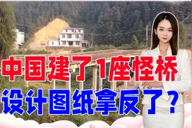 设计图纸拿反了？就在湖南，中国建了1座“怪桥”，老外：没见过视频封面