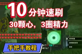 「塞尔达传说」新手速刷30颗心3圈精力教程（萌新向超详细教程）视频封面