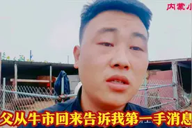 今日牛价涨疯了！到底什么原因导致的？养牛户该不该继续投入？视频封面
