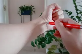 失眠每晚睡不着，教你一招快速入睡，心事少睡眠好视频封面