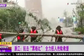 台风“黑格比”登陆浙江温州，狂风暴雨肆虐，城市设施等损毁严重视频封面