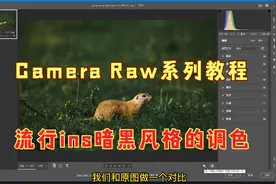 Camera Raw系列教程，实例讲解比较流行ins暗黑风格的调色方法视频封面