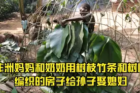 非洲原始部落用竹条树枝和树叶编织的房子，在当地就可以娶到媳妇视频封面