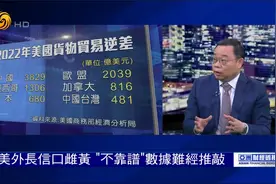 朱文晖:西方罔顾贸易实况 借"台湾海峡"炒作"不靠谱"数据难经推敲视频封面