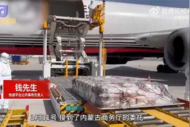 内蒙古空运400吨牛羊猪肉驰援上海：每天飞2班，5天完成运载视频封面
