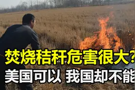焚烧秸秆危害真的很大？美国农民依然焚烧秸秆，我国为何不允许？视频封面