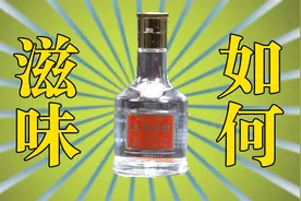 中国浓香特曲新标杆？五粮特曲酒质如何？能撑起五粮液腰杆？视频封面