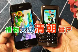 容量仅250KB的山寨版《植物大战僵尸》视频封面