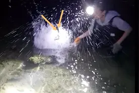 欣欣去赶海水太深，碰到大货不敢用手抓，击打水面6下后，翻白了视频封面