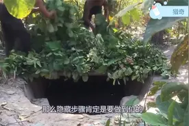 越南两兄弟回农村，打造“秘密”地下室视频封面