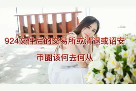 924文件后的交易所或清退或诏安，币圈该何去何从？