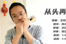 口琴演奏：《从头再来》，刘欢经典励志歌曲，附演奏讲解视频封面