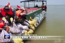 江西多举措恢复鄱阳湖水生生物资源视频封面