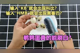 鹌鹑蛋真能刷成白色？输入“KB”就会出现科比两个字，是真的吗？视频封面