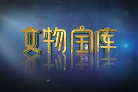 家传多年的玉璧竟是一件现代仿品，专家你确定没有打眼视频封面