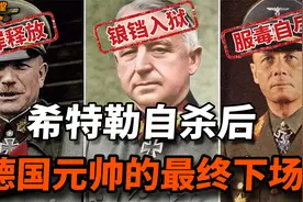 二战德军全部元帅结局如何？12名被判处绞刑，古德里安无罪释放？视频封面