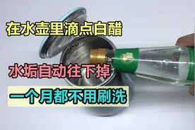 在水壶里滴点白醋，水垢自动往下掉，一个月都不用刷洗，太实用了视频封面