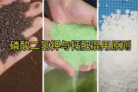 磷酸二氢钾和钙肥是可以混用的，关键要分清钙肥中钙的状态！视频封面