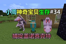 我的世界小周神奇宝贝生存34:捕捉神兽盖诺赛克特！