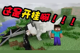 我的世界：史蒂夫逃向森林，可是敌人并没有放弃寻找