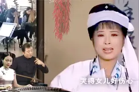 黄梅戏经典悲情戏：女儿哭父悲痛欲绝，父母跪儿以哭代骂视频封面