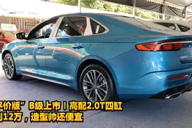 “平价版”B级上市！新星瑞高配2.0T不到12万，造型帅还便宜视频封面