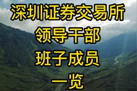 深圳证劵交易所（深交所）领导干部班子成员一览视频封面