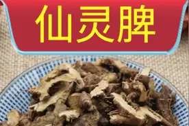 补肾壮阳之仙灵脾