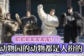 这片子笑死人了！动物园里的动物没一个是真的，全是人假扮的！视频封面