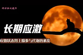 长期应激！肾上腺激素参与代谢之后的紊乱视频封面