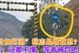 高速上“问号加灯泡”标志是啥意思？交警：这都不懂，等着被罚吧视频封面
