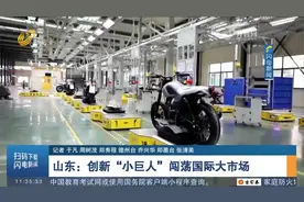 山东：创新“小巨人”闯荡国际大市场，企业订单量源源不断视频封面