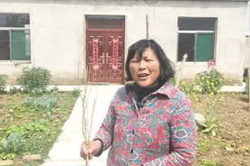农村大妈被忽悠买辣椒树，行人都说是假的，你们能看出来真假吗？视频封面
