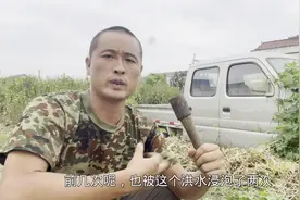 不起眼的报废小货车，三元催化就能卖这么多钱，比去报废强多了视频封面