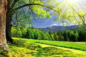 萤飞秋窗满，月度霜闺迟。