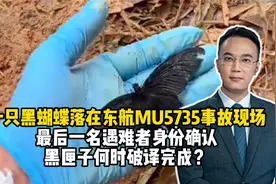 一只黑蝴蝶落在东航MU5735事故现场，最后一名遇难者身份确认视频封面