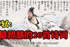 苏轼一生最智慧的20首诗词：人生缘何少快乐，只因未读苏东坡视频封面