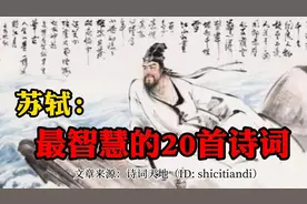 苏轼一生最智慧的20首诗词：人生缘何少快乐，只因未读苏东坡视频封面
