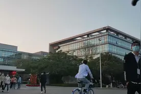 广东东莞：传说中的蓝绿大厂，好多人都说电子厂好找女友，真的吗