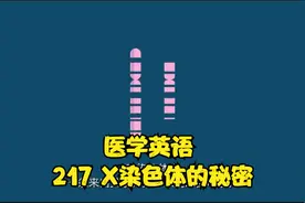 【中文字幕 全集】医学英语 217 X染色体的秘密视频封面