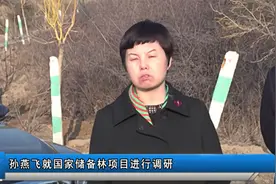 中阳：孙燕飞就国家储备林项目进行调研视频封面