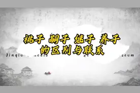 祧子嗣子继子养子的区别与联系视频封面